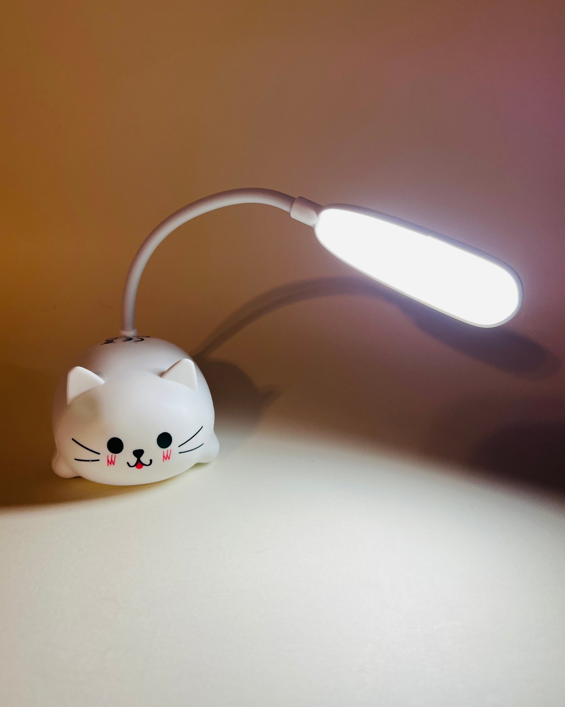 cat book light USB