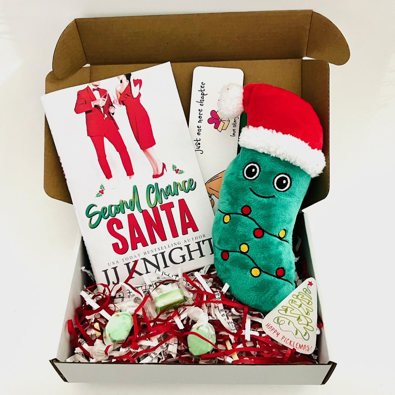 Book box with paperback book bookmark stuffed pickle with a santa hat tree sticker and pickle candy
