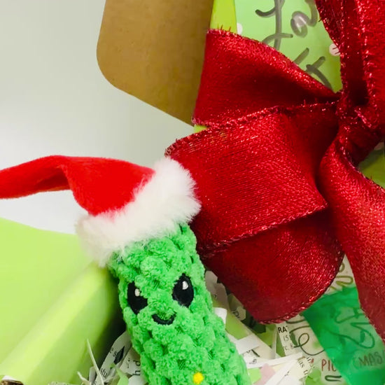 Christmas pickle surprise book boxes by JJ Knight
