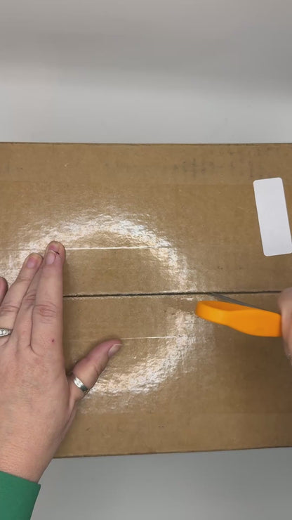 Big Pickle 6th anniversary edition